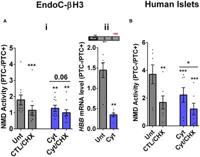 Proinflammatory cytokines suppress nonsense-mediated RNA decay to impair regulated transcript isoform processing in pancreatic β cells